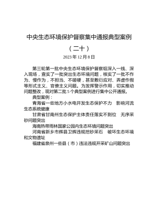 中央生态环境保护督察集中通报典型案例（二十）