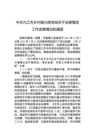 中共九江市乡村振兴局党组关于巡察整改工作进展情况的通报