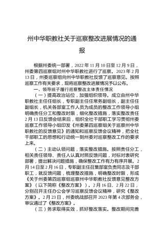 州中华职教社关于巡察整改进展情况的通报