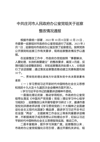 中共庄河市人民政府办公室党组关于巡察整改情况通报