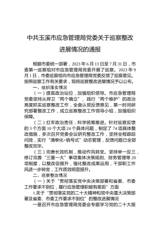中共玉溪市应急管理局党委关于巡察整改进展情况的通报