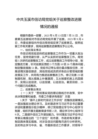 中共玉溪市信访局党组关于巡察整改进展情况的通报