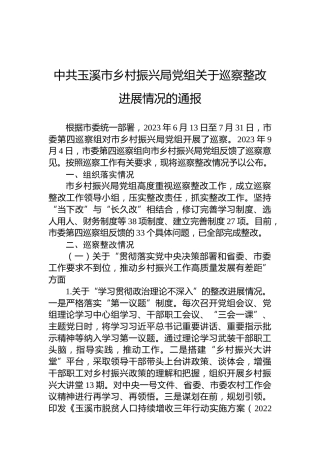 中共玉溪市乡村振兴局党组关于巡察整改进展情况的通报