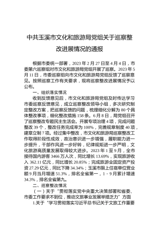 中共玉溪市文化和旅游局党组关于巡察整改进展情况的通报