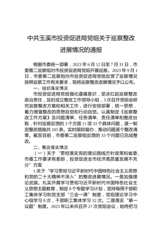 中共玉溪市投资促进局党组关于巡察整改进展情况的通报