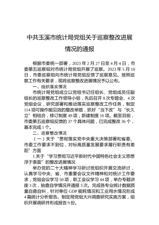 中共玉溪市统计局党组关于巡察整改进展情况的通报