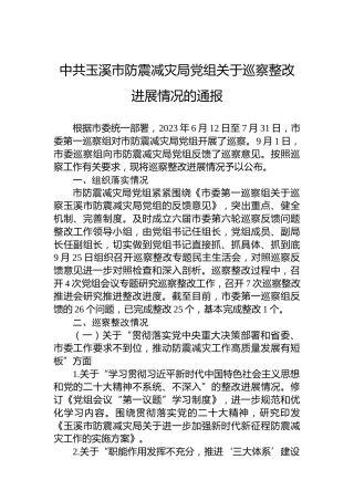 中共玉溪市防震减灾局党组关于巡察整改进展情况的通报