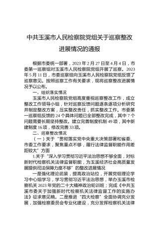 中共玉溪市发展和改革委员会党组关于巡察整改进展情况的通报