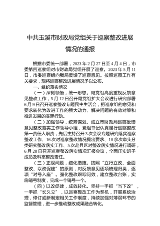 中共玉溪市财政局党组关于巡察整改进展情况的通报