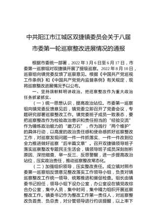 中共阳江市江城区双捷镇委员会关于八届市委第一轮巡察整改进展情况的通报
