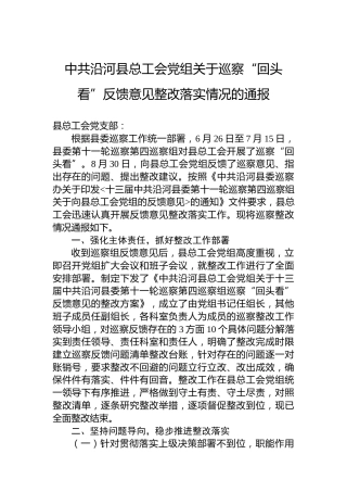 中共沿河县总工会党组关于巡察“回头看”反馈意见整改落实情况的通报（20220311）