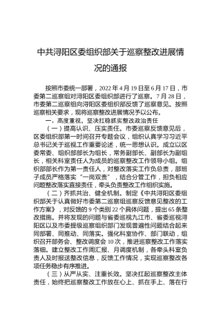 中共浔阳区委组织部关于巡察整改进展情况的通报