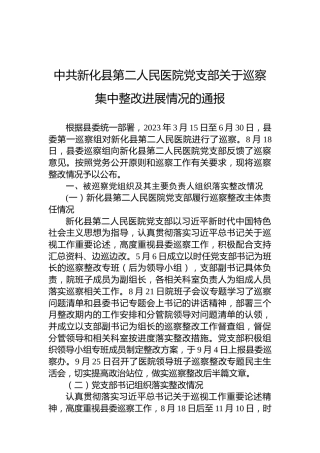 中共新化县第二人民医院党支部关于巡察集中整改进展情况的通报