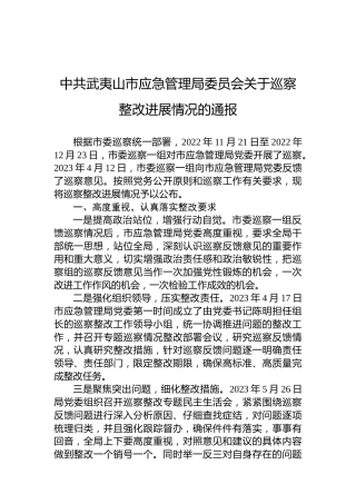 中共武夷山市应急管理局委员会关于巡察整改进展情况的通报