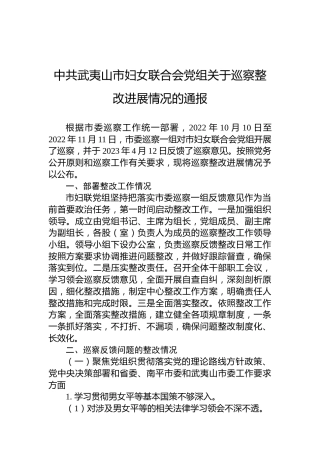 中共武夷山市妇女联合会党组关于巡察整改进展情况的通报