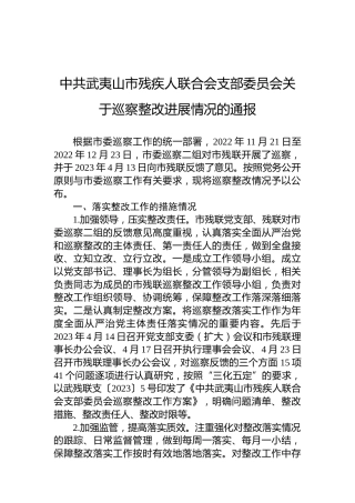 中共武夷山市残疾人联合会支部委员会关于巡察整改进展情况的通报