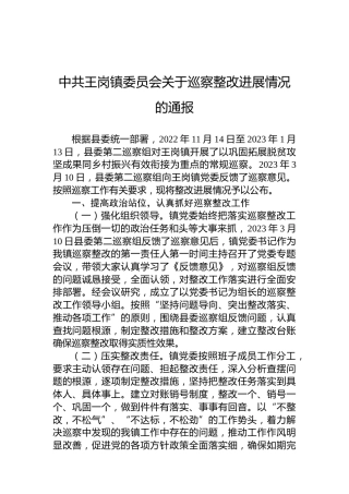 中共王岗镇委员会关于巡察整改进展情况的通报