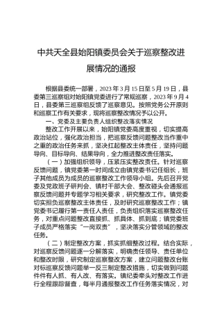 中共天全县始阳镇委员会关于巡察整改进展情况的通报