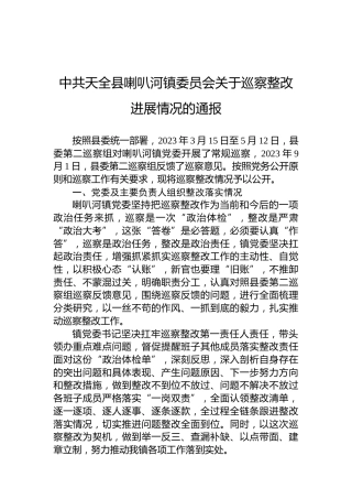 中共天全县喇叭河镇委员会关于巡察整改进展情况的通报