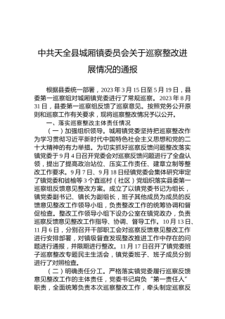 中共天全县城厢镇委员会关于巡察整改进展情况的通报