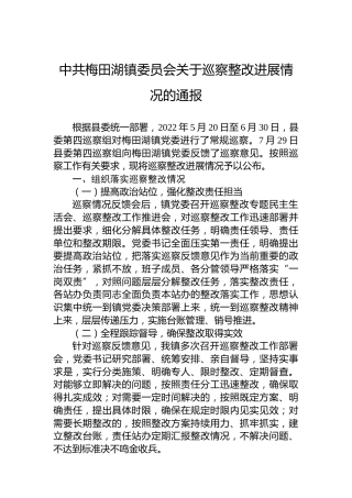 中共梅田湖镇委员会关于巡察整改进展情况的通报