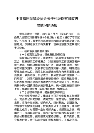 中共梅田湖镇委员会关于村级巡察整改进展情况的通报