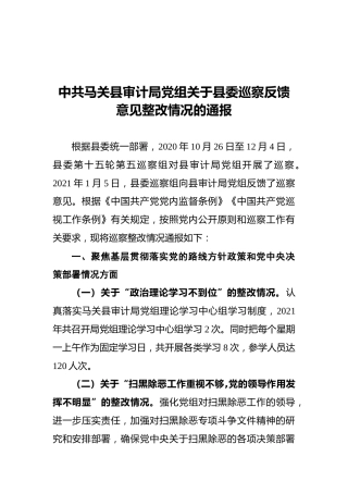 中共马关县审计局党组关于县委巡察反馈意见整改情况的通报