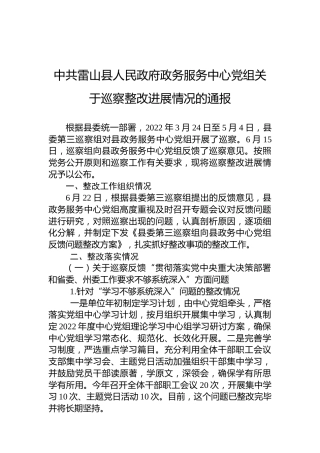 中共雷山县人民政府政务服务中心党组关于巡察整改进展情况的通报