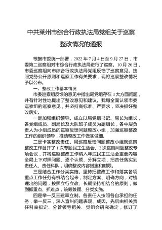 中共莱州市综合行政执法局党组关于巡察整改情况的通报
