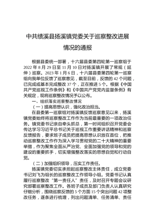 中共绩溪县扬溪镇党委关于巡察整改进展情况的通报