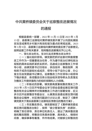 中共黄桥镇委员会关于巡察整改进展情况的通报