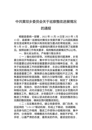 中共黄坝乡委员会关于巡察整改进展情况的通报