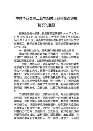 中共华容县总工会党组关于巡察整改进展情况的通报
