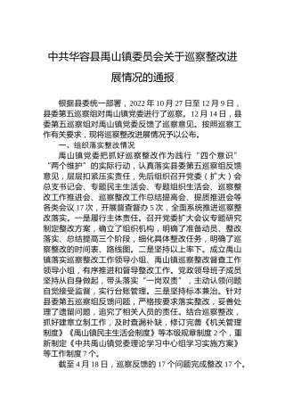 中共华容县禹山镇委员会关于巡察整改进展情况的通报