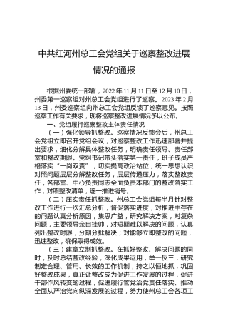 中共红河州总工会党组关于巡察整改进展情况的通报