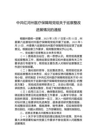 中共红河州医疗保障局党组关于巡察整改进展情况的通报