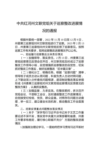 中共红河州文联党组关于巡察整改进展情况的通报