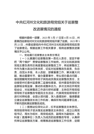 中共红河州文化和旅游局党组关于巡察整改进展情况的通报