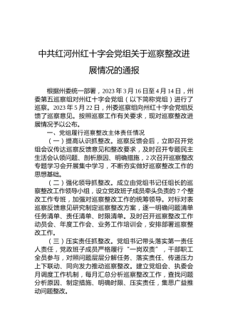 中共红河州红十字会党组关于巡察整改进展情况的通报