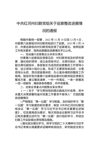 中共红河州妇联党组关于巡察整改进展情况的通报