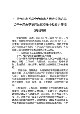 中共合山市委员会合山市人民政府信访局关于十届市委第四轮巡察集中整改进展情况的通报