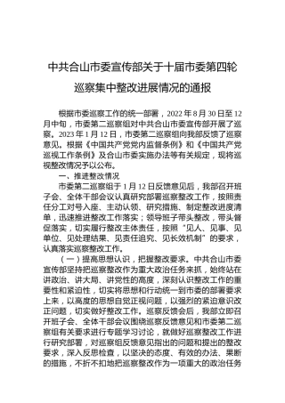 中共合山市委宣传部关于十届市委第四轮巡察集中整改进展情况的通报