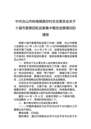 中共合山市岭南镇里仰村总支委员会关于十届市委第四轮巡察集中整改进展情况的通报