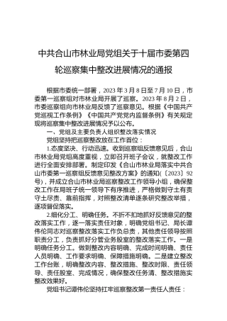 中共合山市林业局党组关于十届市委第四轮巡察集中整改进展情况的通报