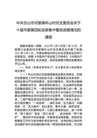 中共合山市河里镇环山村总支委员会关于十届市委第四轮巡察集中整改进展情况的通报