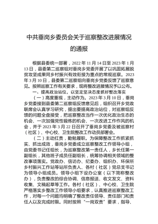 中共垂岗乡委员会关于巡察整改进展情况的通报