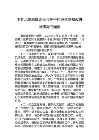 中共北景港镇委员会关于村级巡察整改进展情况的通报