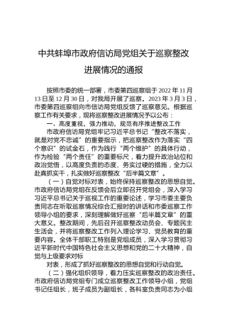 中共蚌埠市政府信访局党组关于巡察整改进展情况的通报