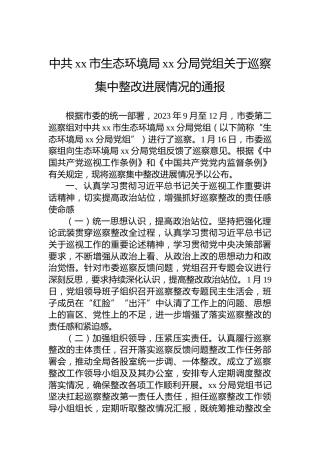 中共xx市生态环境局xx分局党组关于巡察集中整改进展情况的通报