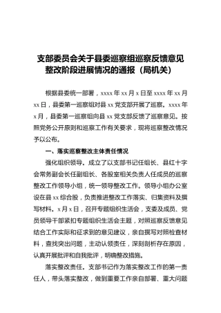 支部委员会关于县委巡察组巡察反馈意见整改阶段进展情况的通报
